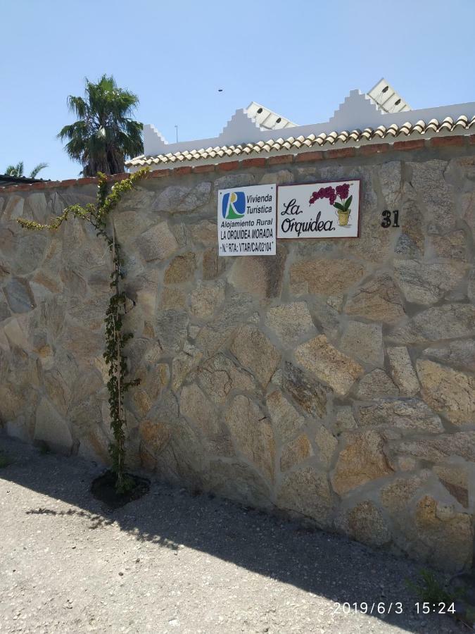科尼尔-德拉弗龙特拉La Orquidea Morada别墅 外观 照片